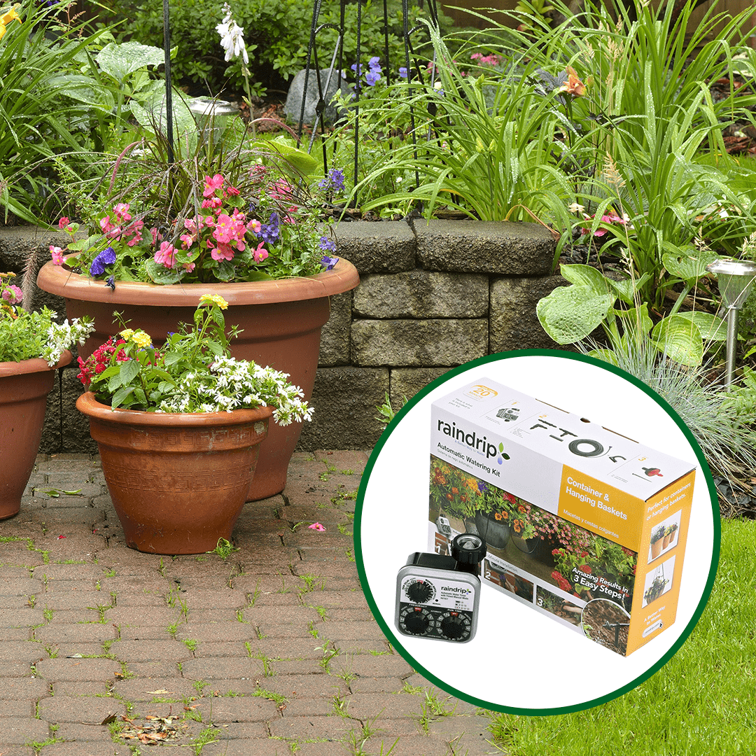 How to Get Started With Drip Irrigation RainDrip